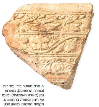 (בספר תמונה:) חרס מעוטר בזר ענפי זית (בשורה הראשונה), בזמורות גפן (בשורה האמצעית) ובענף עץ רימון (בשורה התחתונה), תקופת המשנה, מוזאון הכט